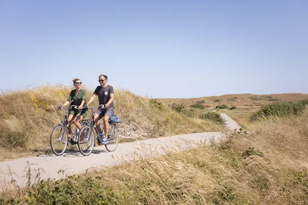 Hof van Saksen Drenthe - Westdorp visuel 1235/1861