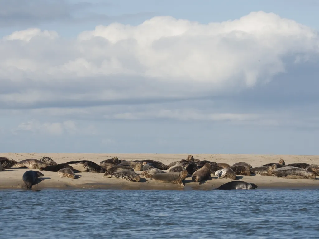 Beelden Ruben Smit Waddeneilanden