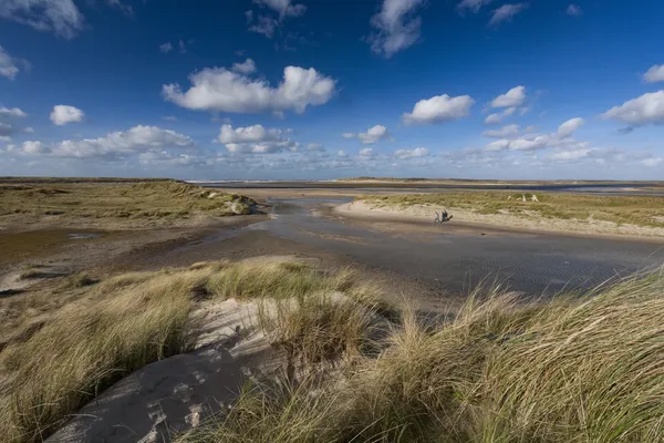 Hof van Saksen Drenthe - Westdorp visuel 839/1861