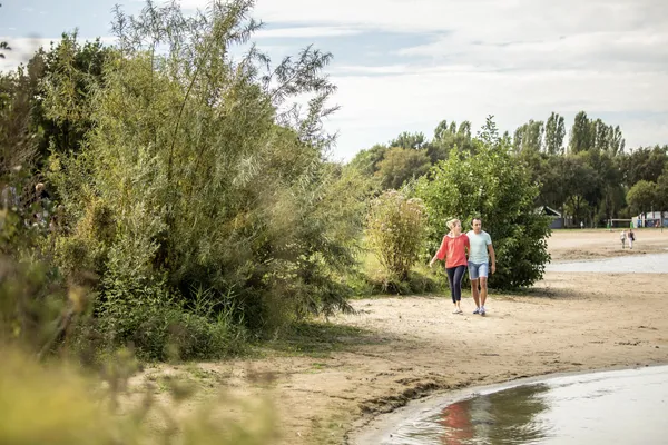 Hof van Saksen Drenthe - Westdorp visuel 1221/1861