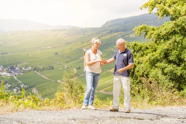 Hof van Saksen Drenthe - Westdorp visuel 654/1861