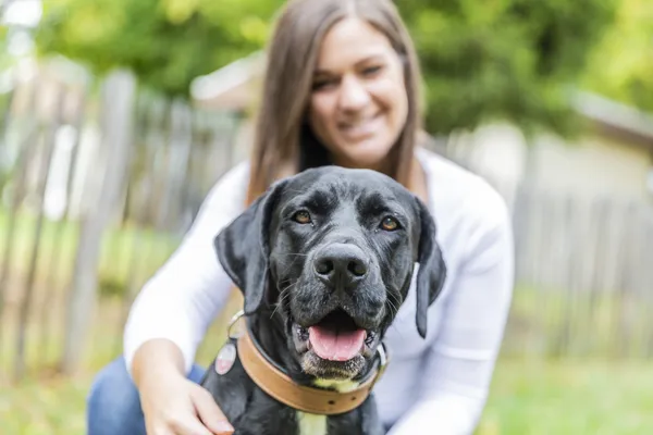 Hof van Saksen Drenthe - Westdorp visuel 754/1861