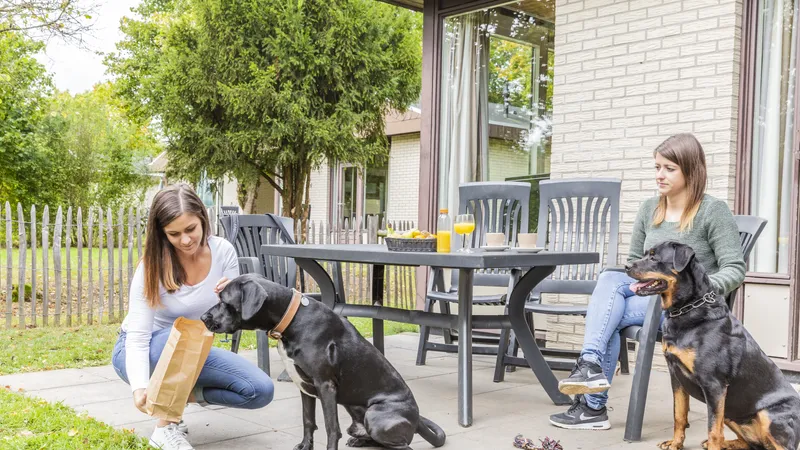 Vakantiehuis met omheinde tuin in Kell am See (Duitsland) 2 honden zijn welkom