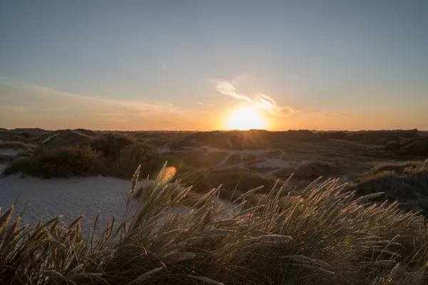 Hof van Saksen Drenthe - Westdorp visuel 611/1861