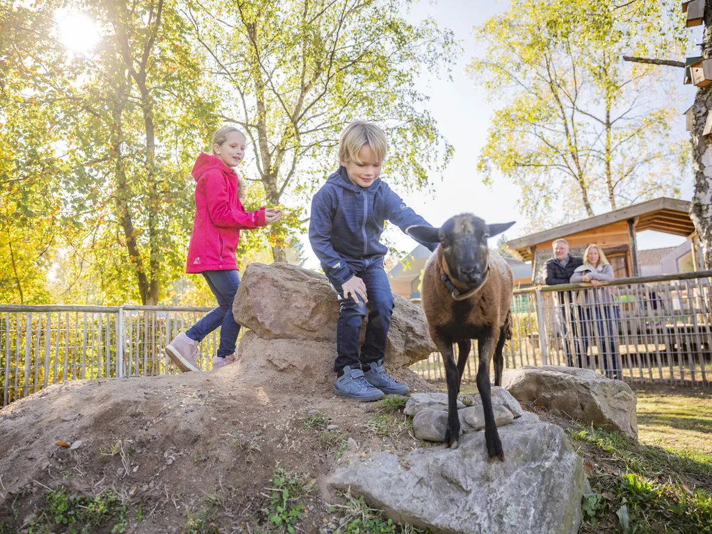 Belevingsfotografie WBG 2018