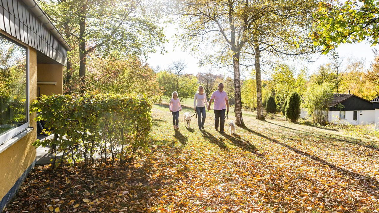 Hof van Saksen Drenthe - Westdorp visuel 673/1861