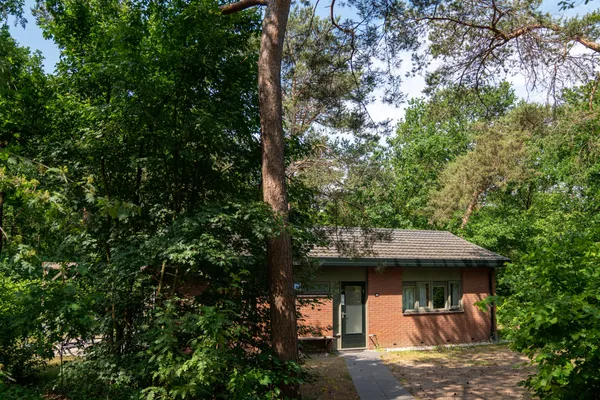 Hof van Saksen Drenthe - Westdorp visuel 1716/1861