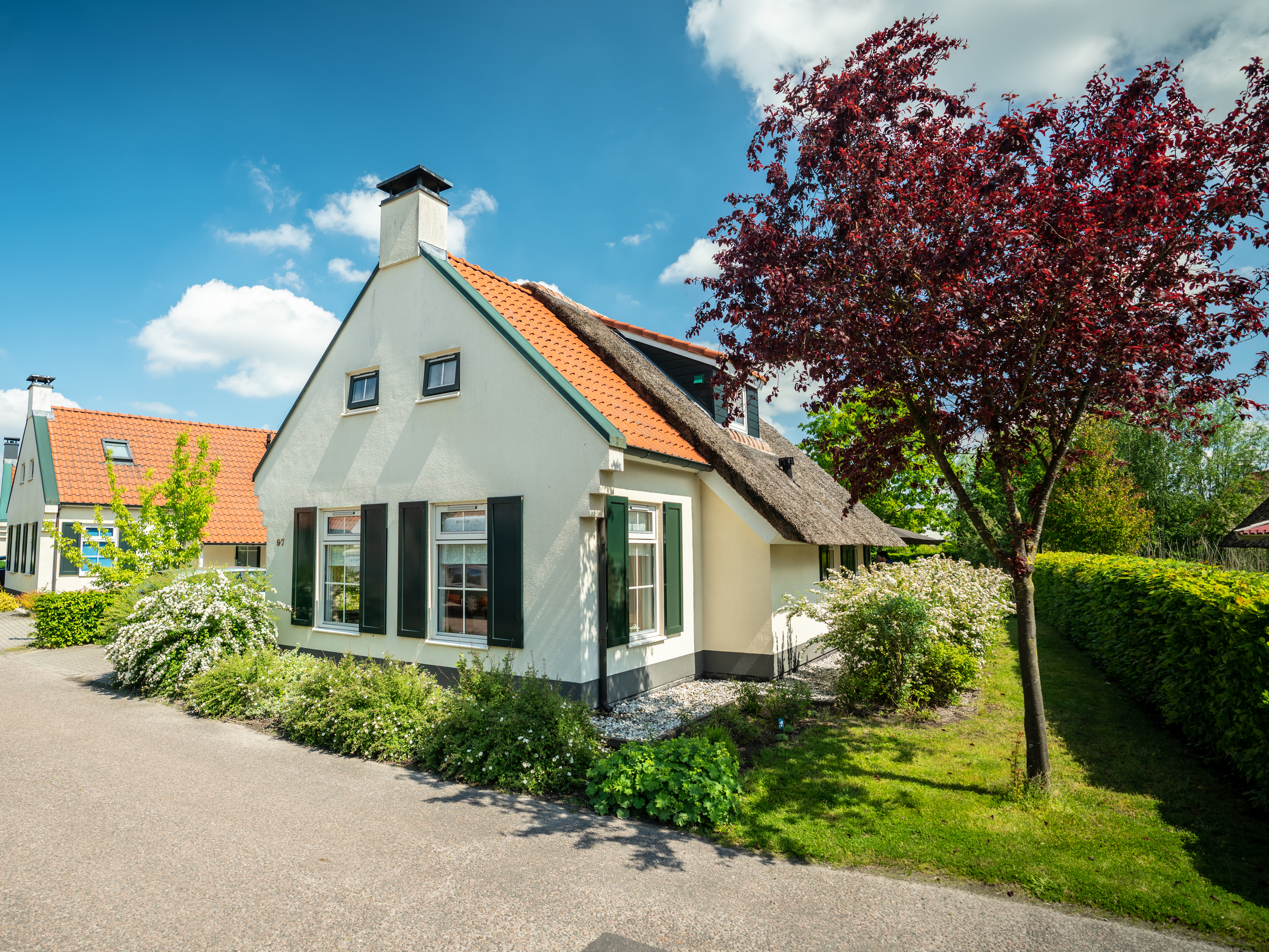 4-persoons bungalow — foto 9