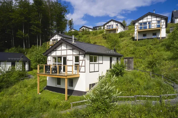 Hof van Saksen Drenthe - Westdorp visuel 781/1861