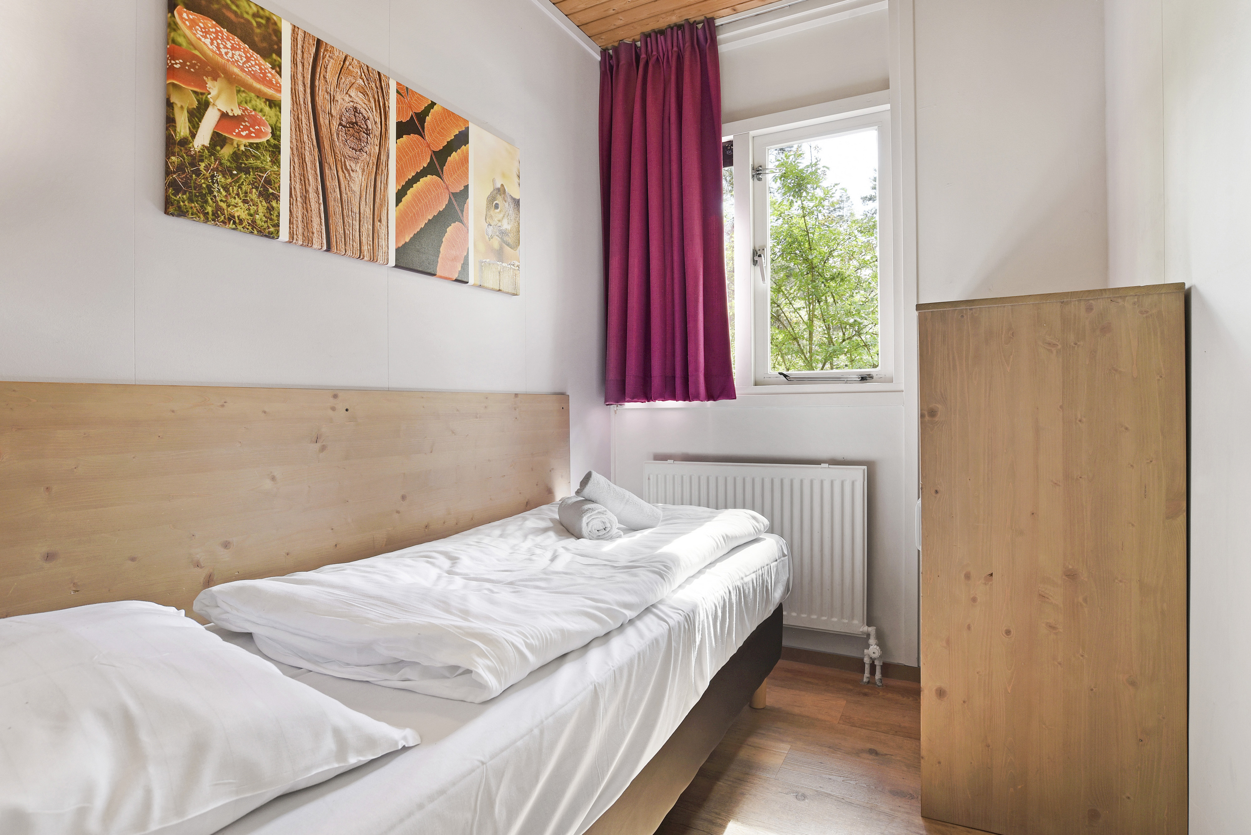 4-persoons bungalow — foto 6