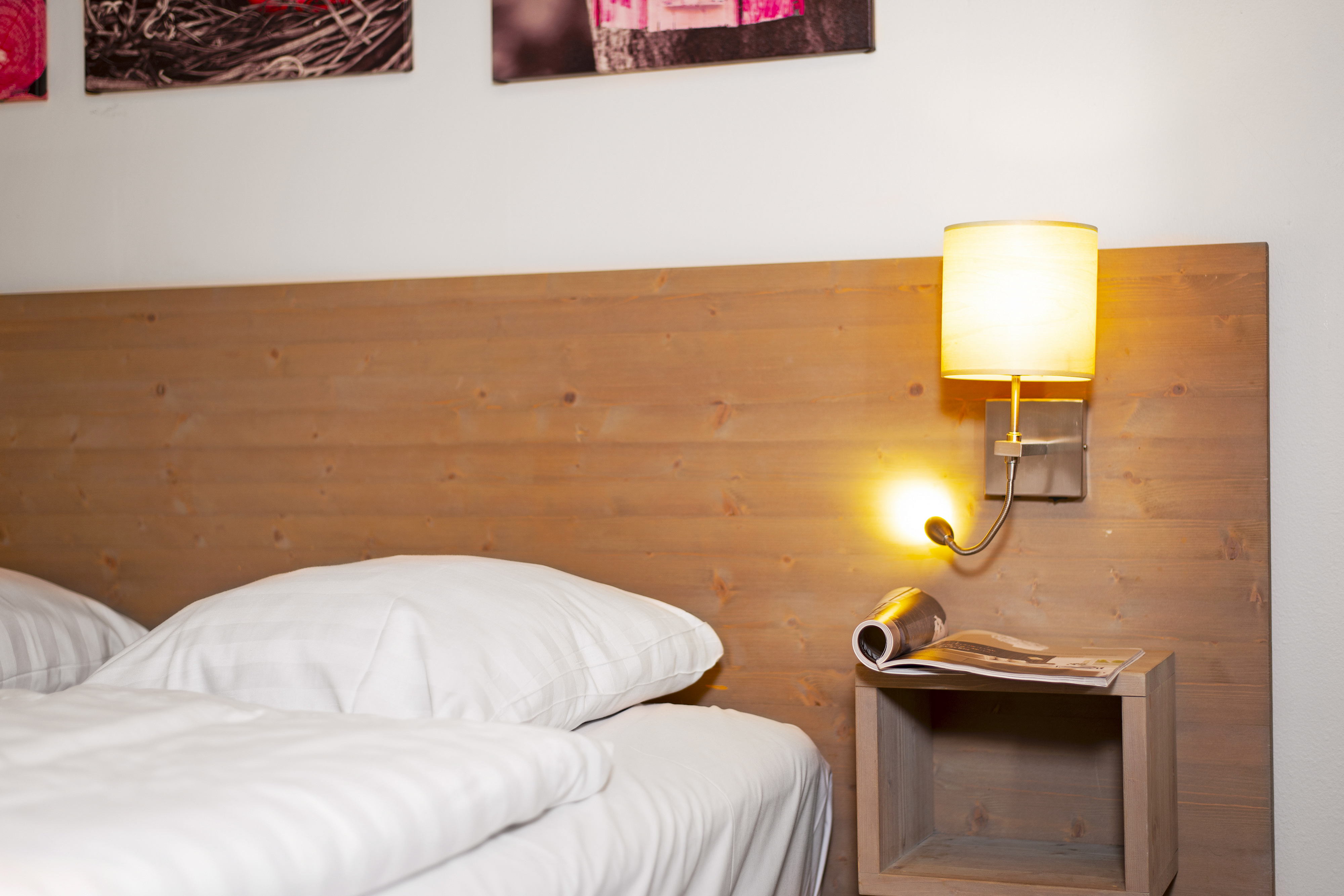 6-persoons hondenbungalow — foto 6