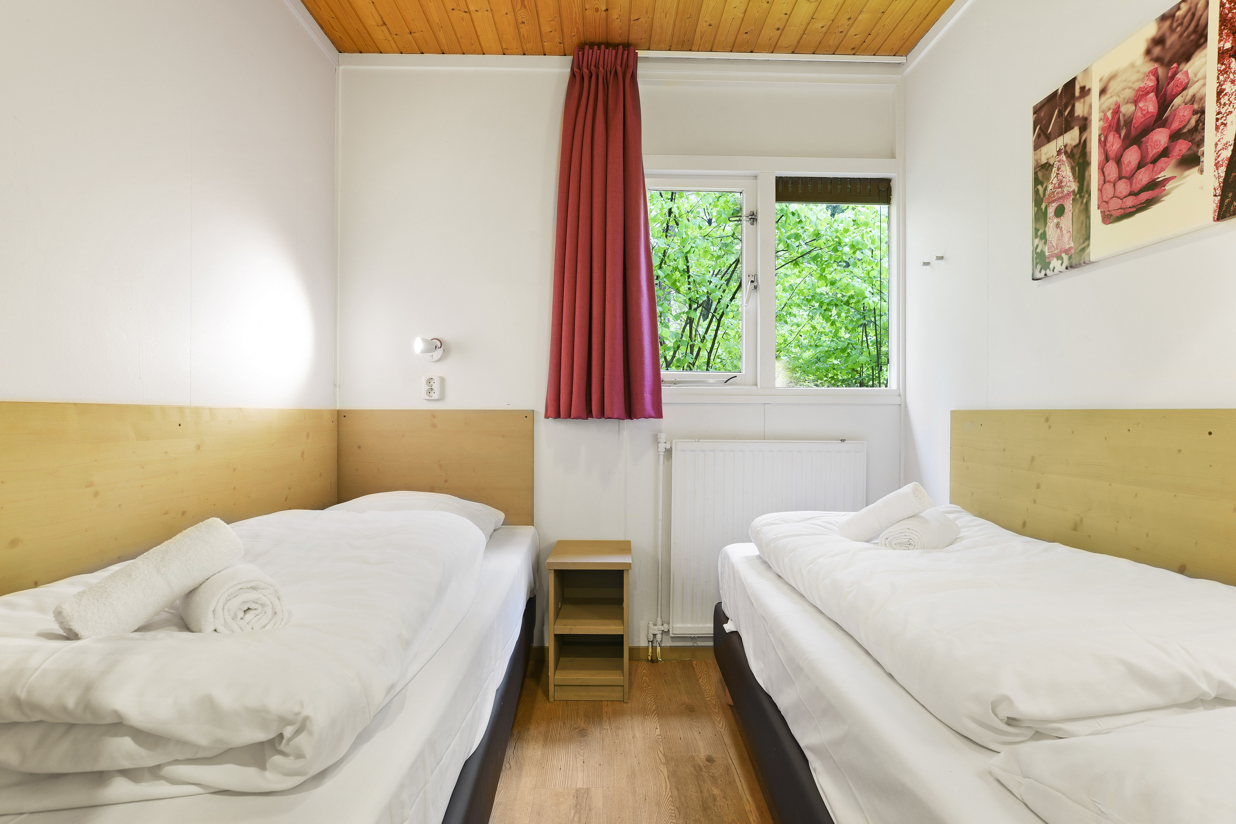 6-persoons hondenbungalow — foto 8