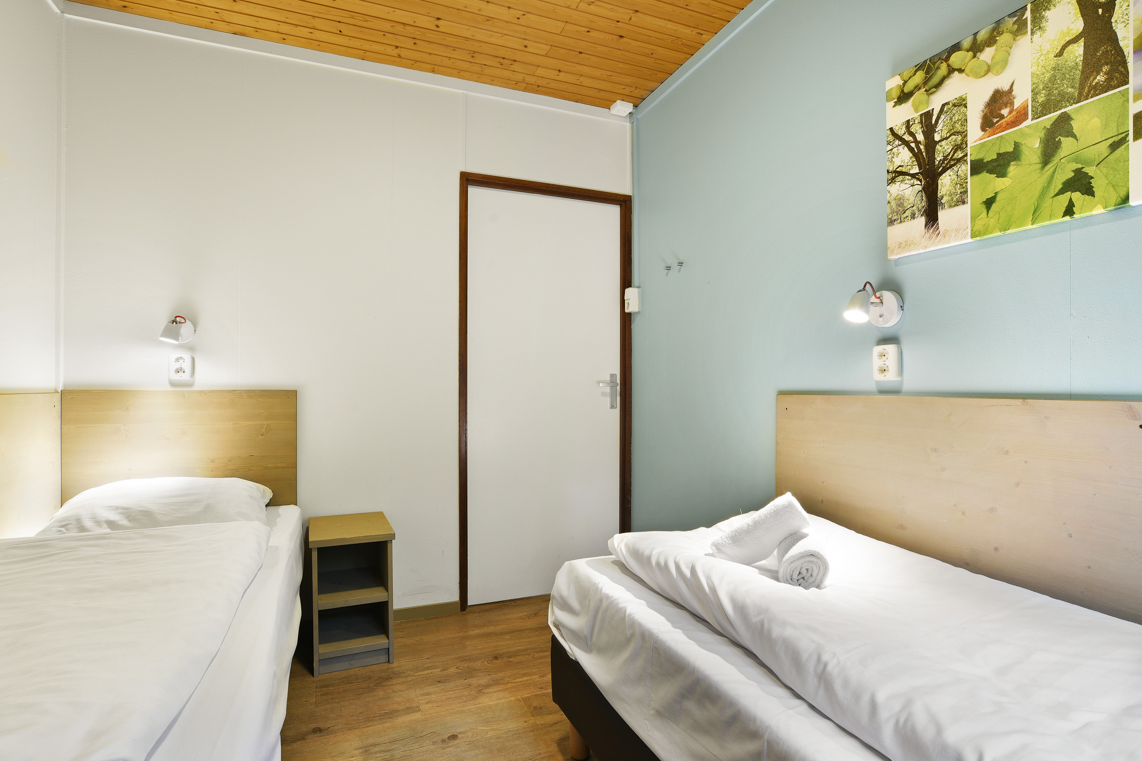 6-persoons hondenbungalow — foto 9