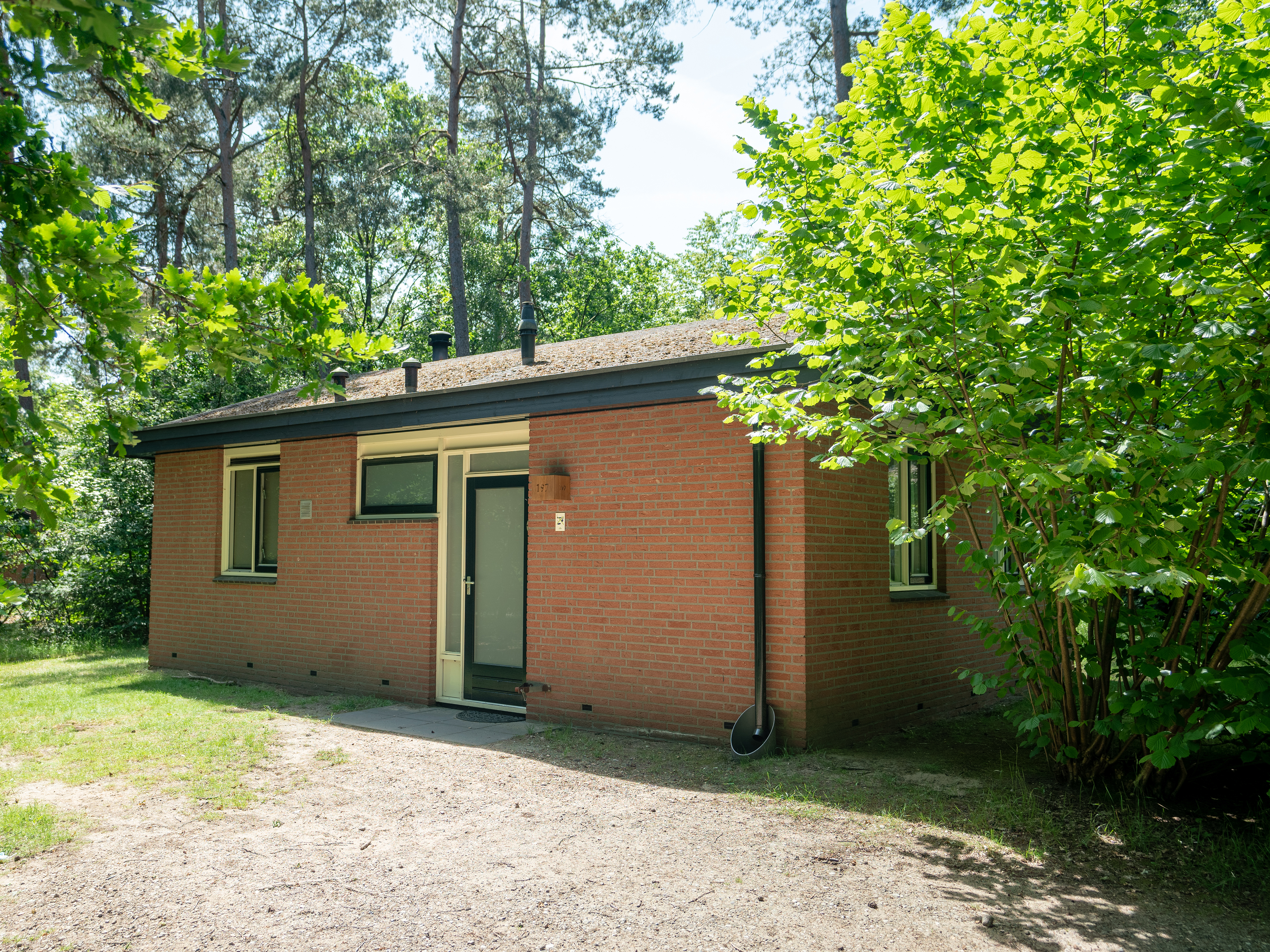 4-persoons bungalow — foto 6
