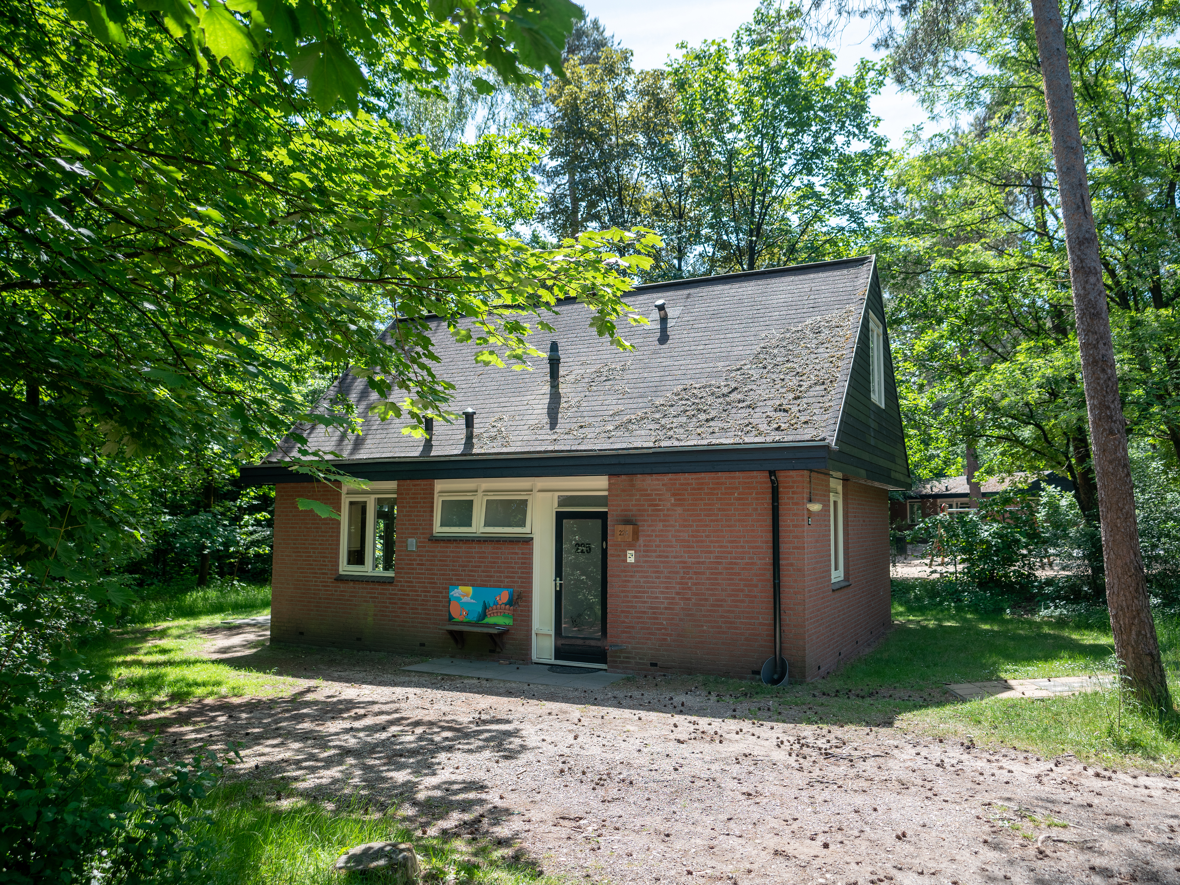 6 persoons kinderbungalow