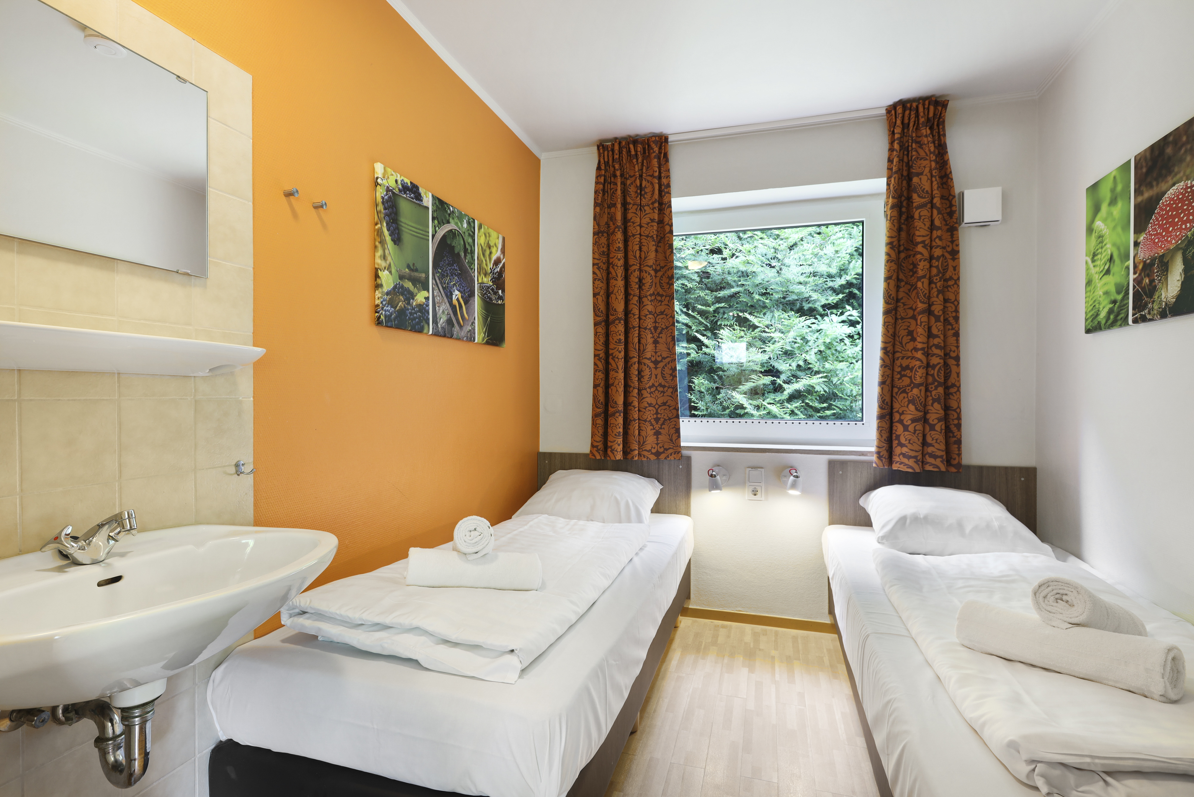 4-persoons bungalow - Extra toegankelijk — foto 10