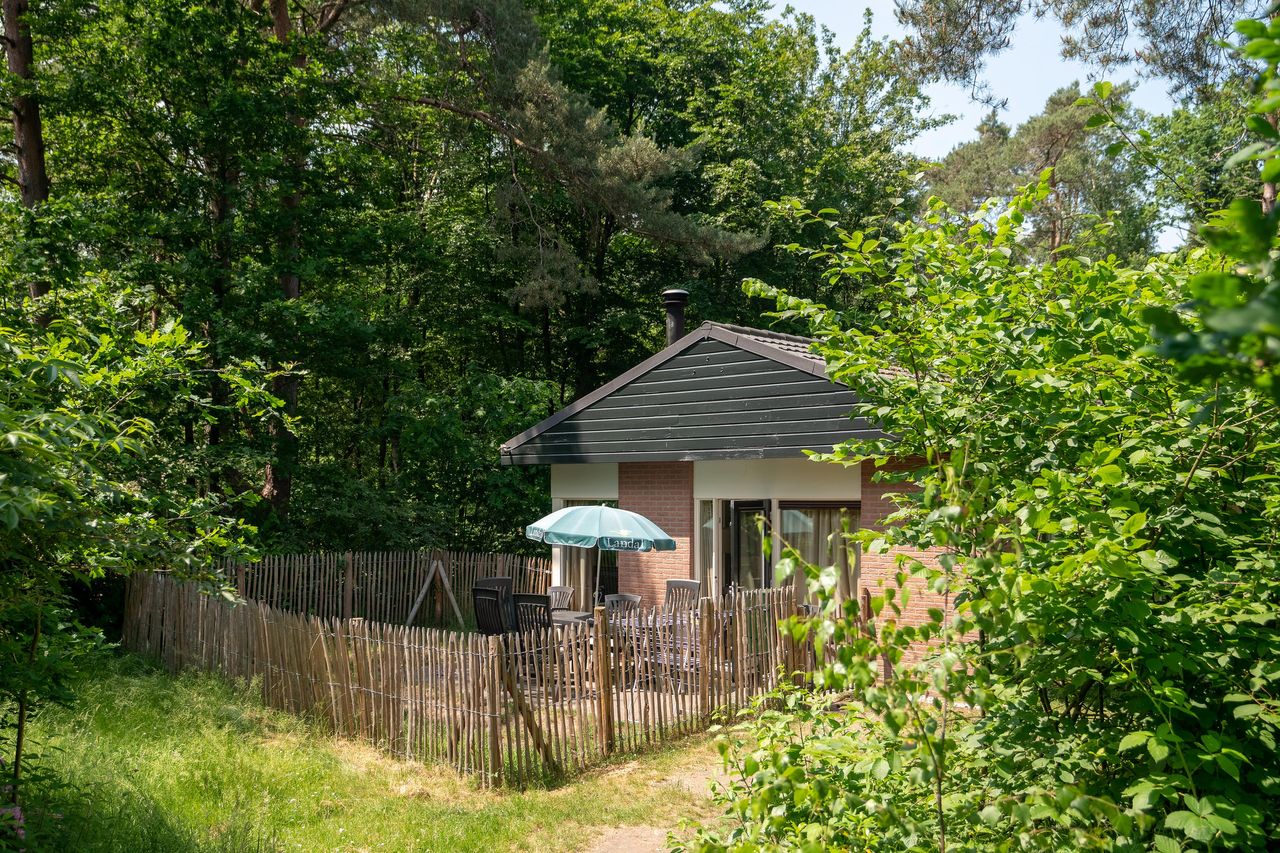 Vakantiehuis met omheinde tuin in Beekbergen (Nederland) 2 honden zijn welkom