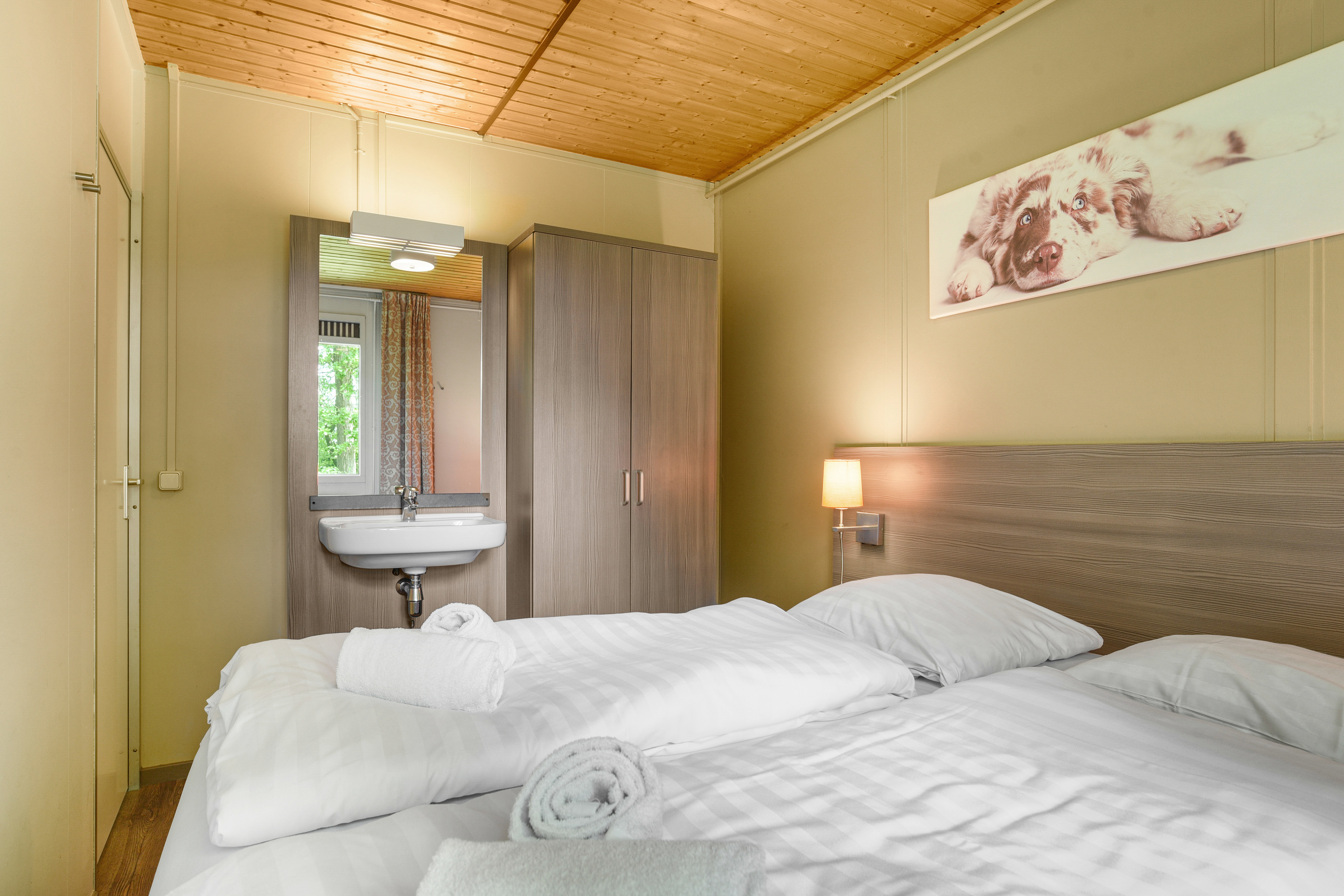 2-persoons hondenbungalow — foto 8