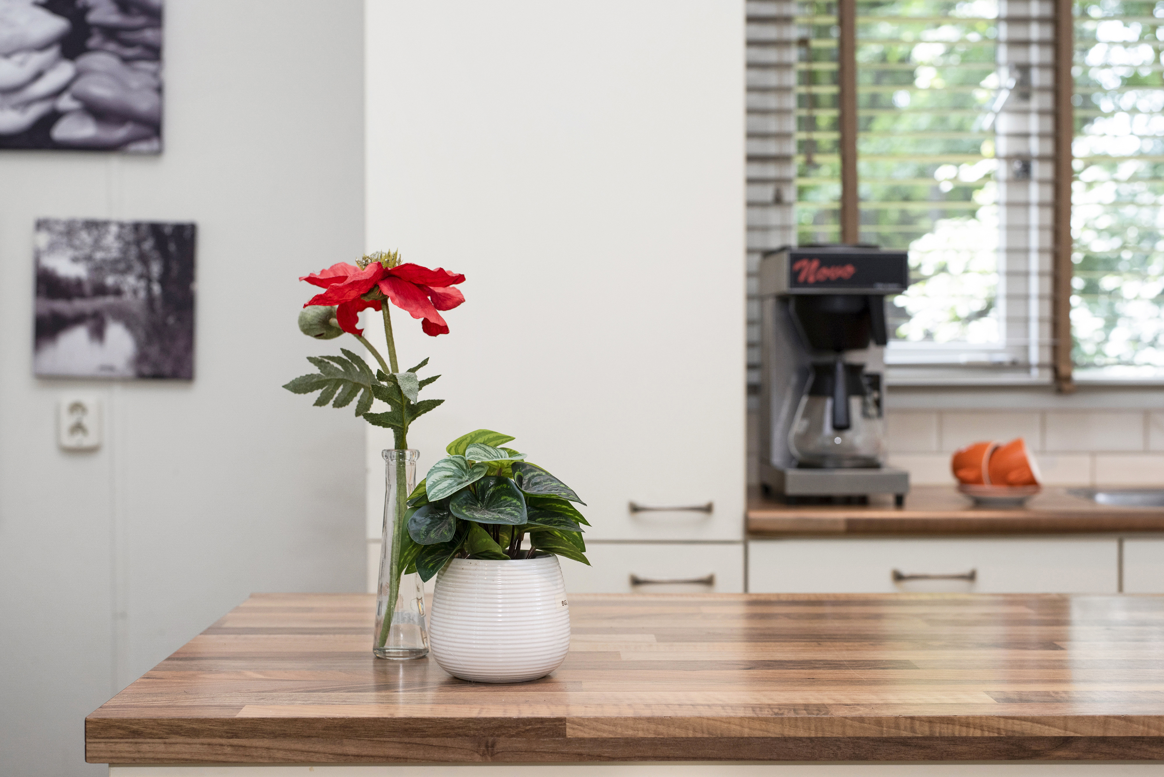 18-persoons reuniebungalow — foto 10