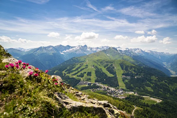 Hof van Saksen Drenthe - Westdorp visuel 359/1861