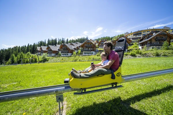 Hof van Saksen Drenthe - Westdorp visuel 361/1861