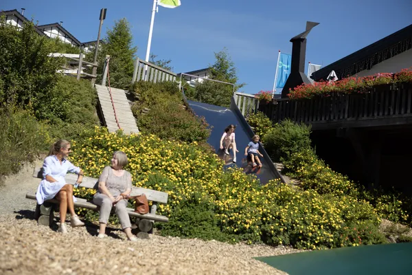 Hof van Saksen Drenthe - Westdorp visuel 780/1861