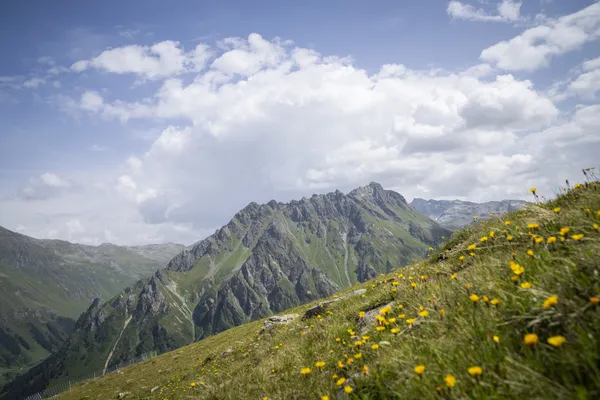 Hof van Saksen Drenthe - Westdorp visuel 372/1861