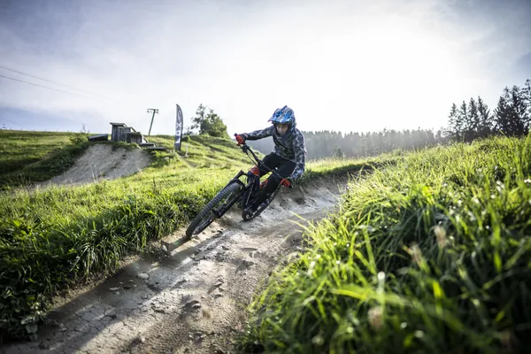 Hof van Saksen Drenthe - Westdorp visuel 782/1861
