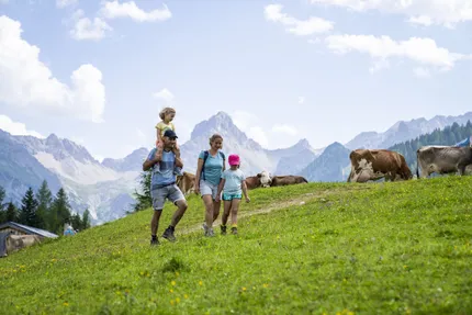 Hof van Saksen Drenthe - Westdorp visuel 403/1861