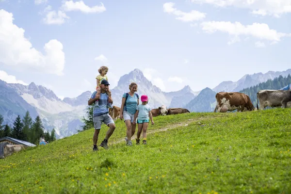 Hof van Saksen Drenthe - Westdorp visuel 496/1861