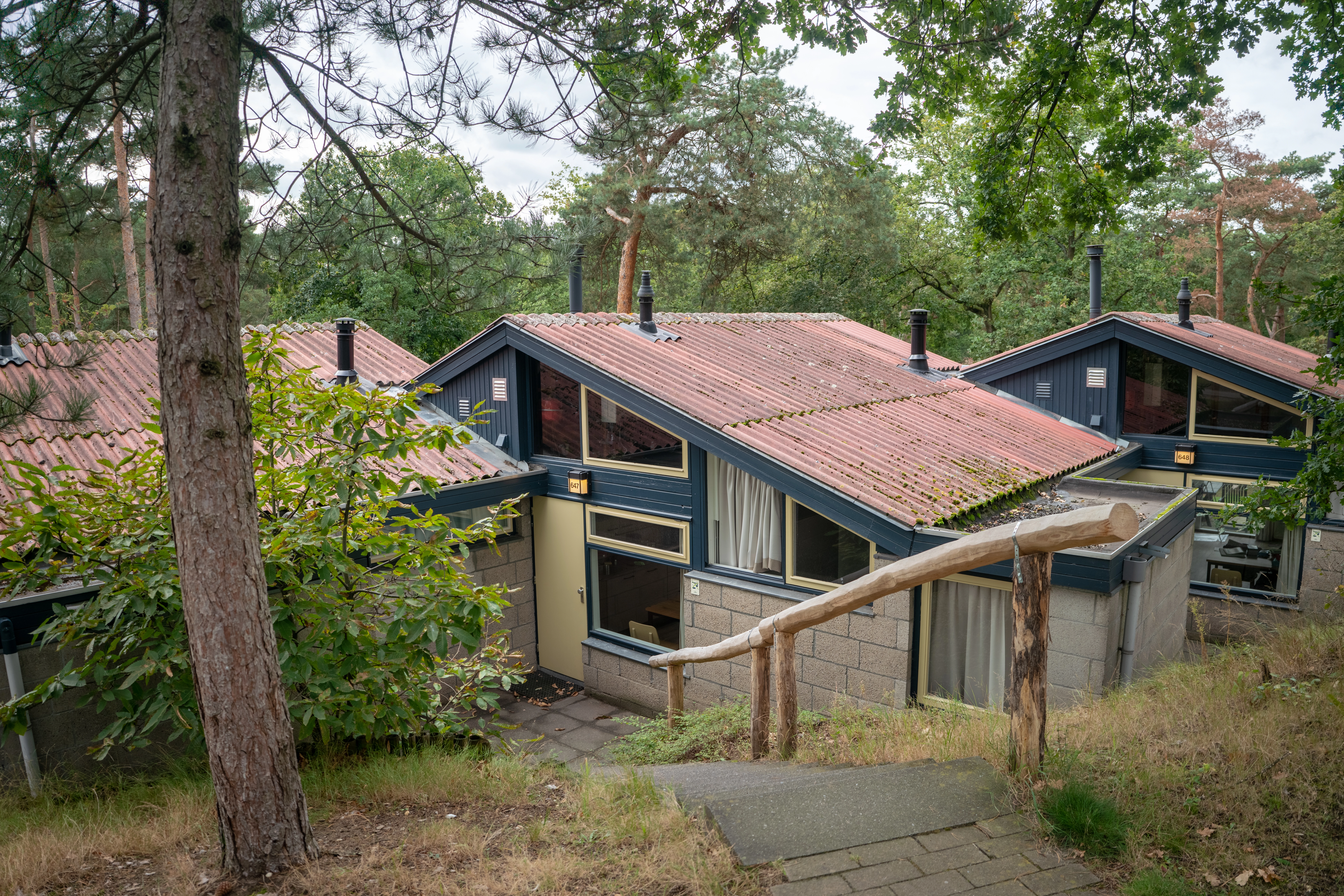 4-persoons bungalow — foto 8