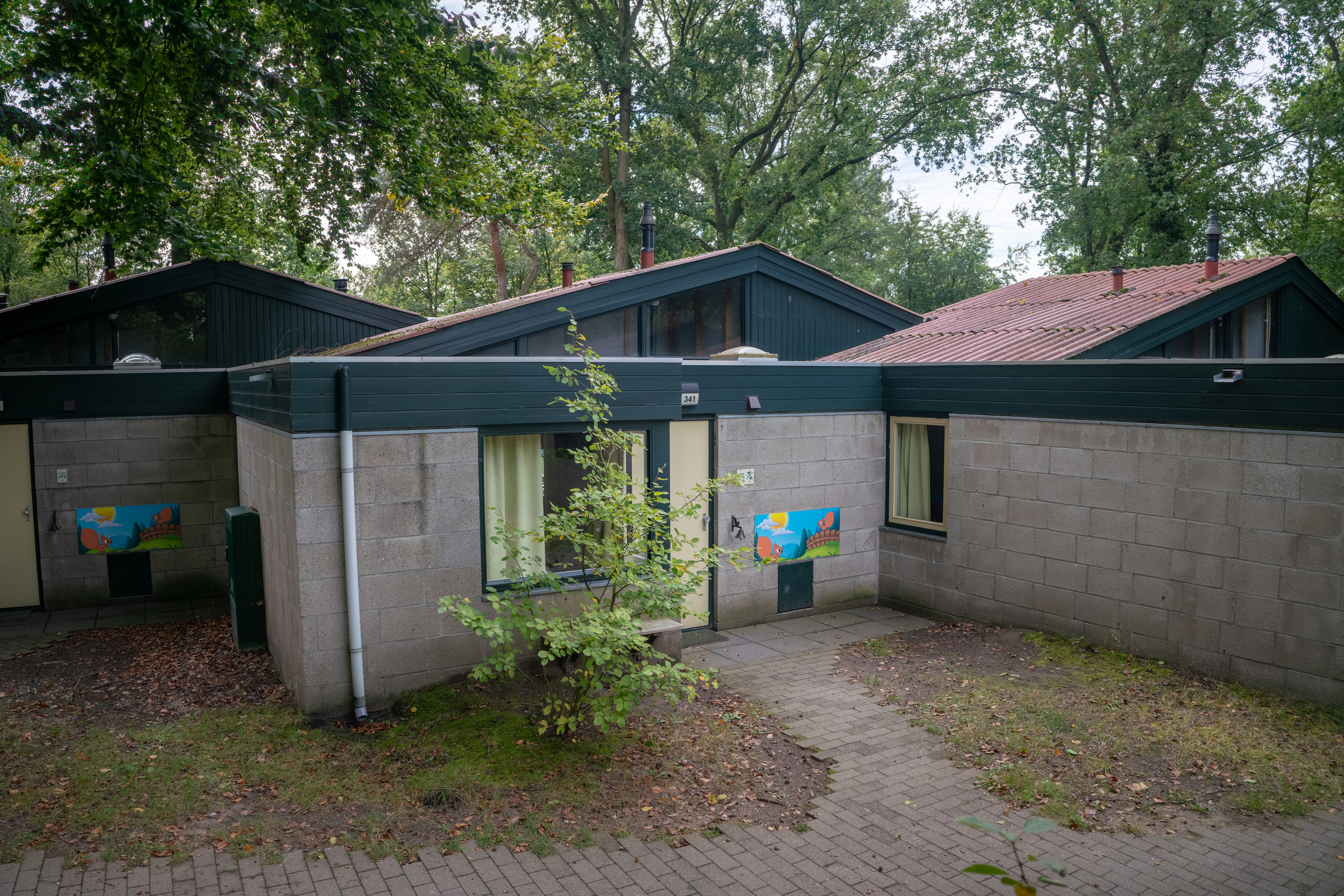 4-persoons kinderbungalow — foto 9