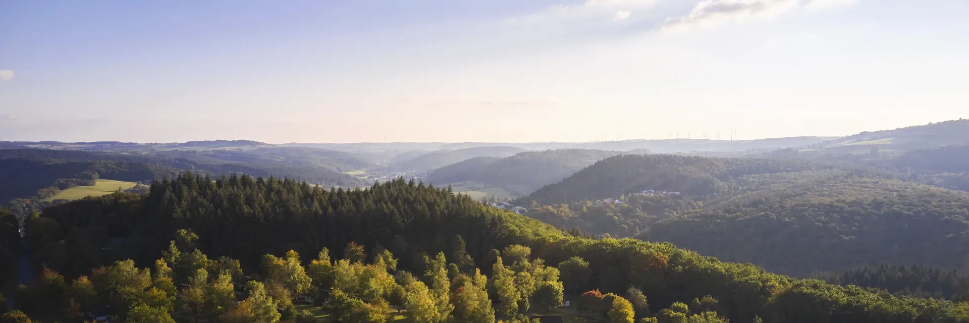 Hof van Saksen Drenthe - Westdorp visuel 687/1861