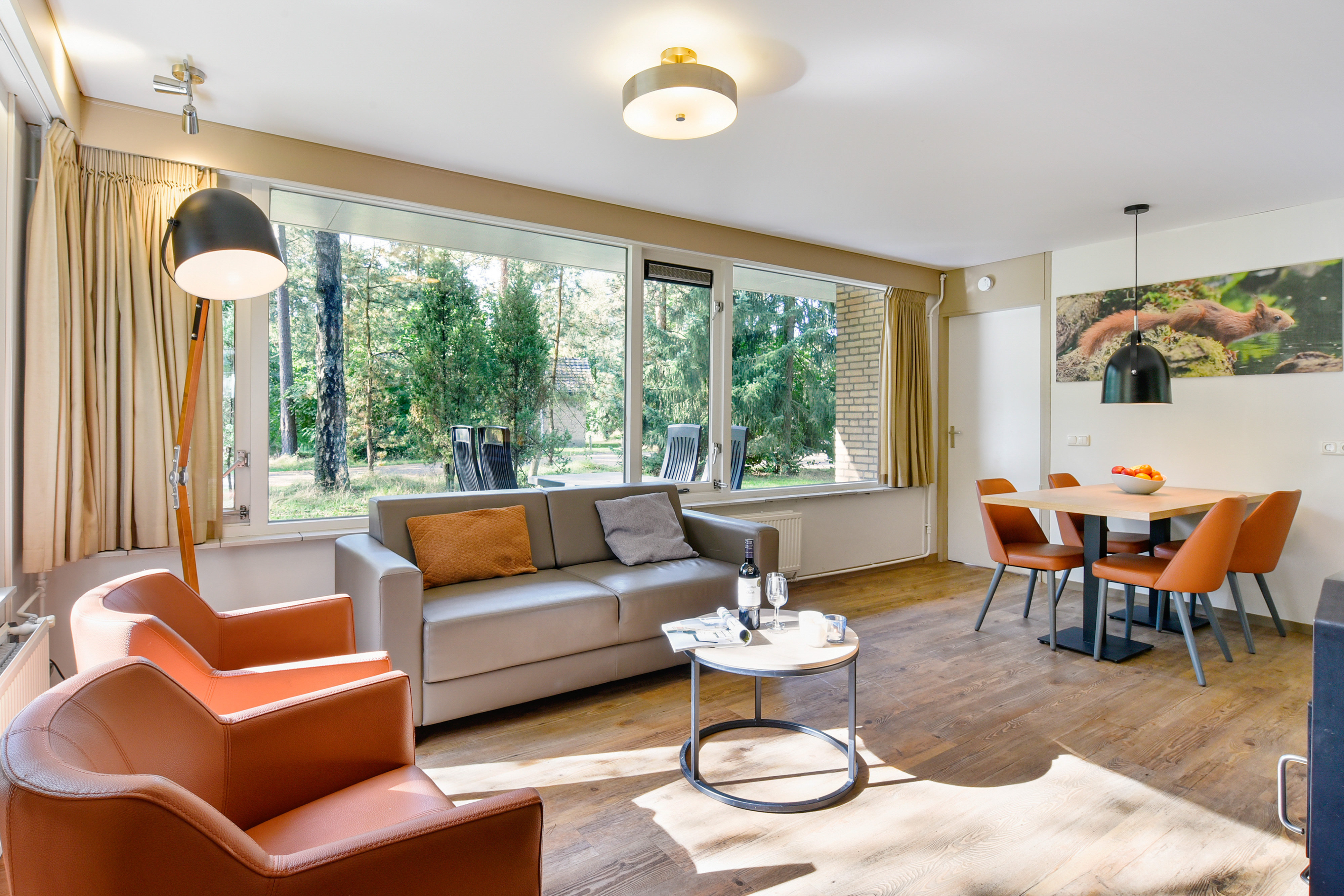 4-persoons bungalow - Extra toegankelijk — foto 7