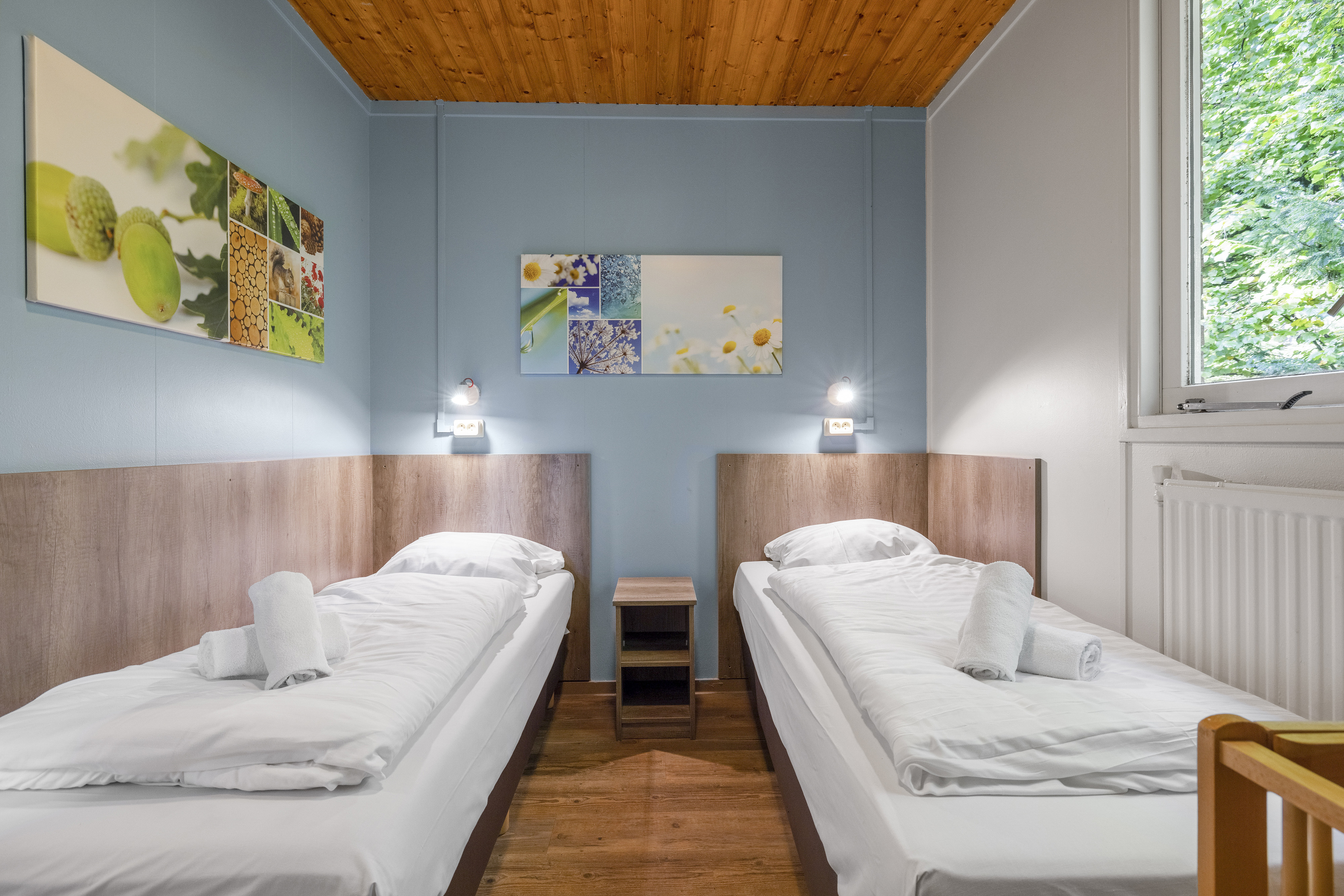 4-persoons bungalow — foto 10