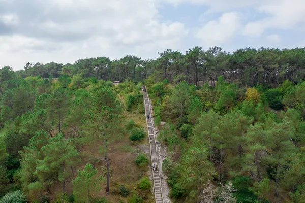 Hof van Saksen Drenthe - Westdorp visuel 1249/1861