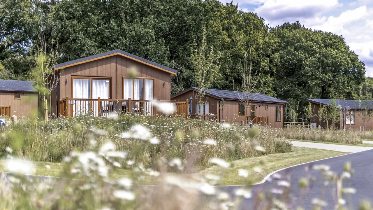 Hof van Saksen Drenthe - Westdorp visuel 190/1861