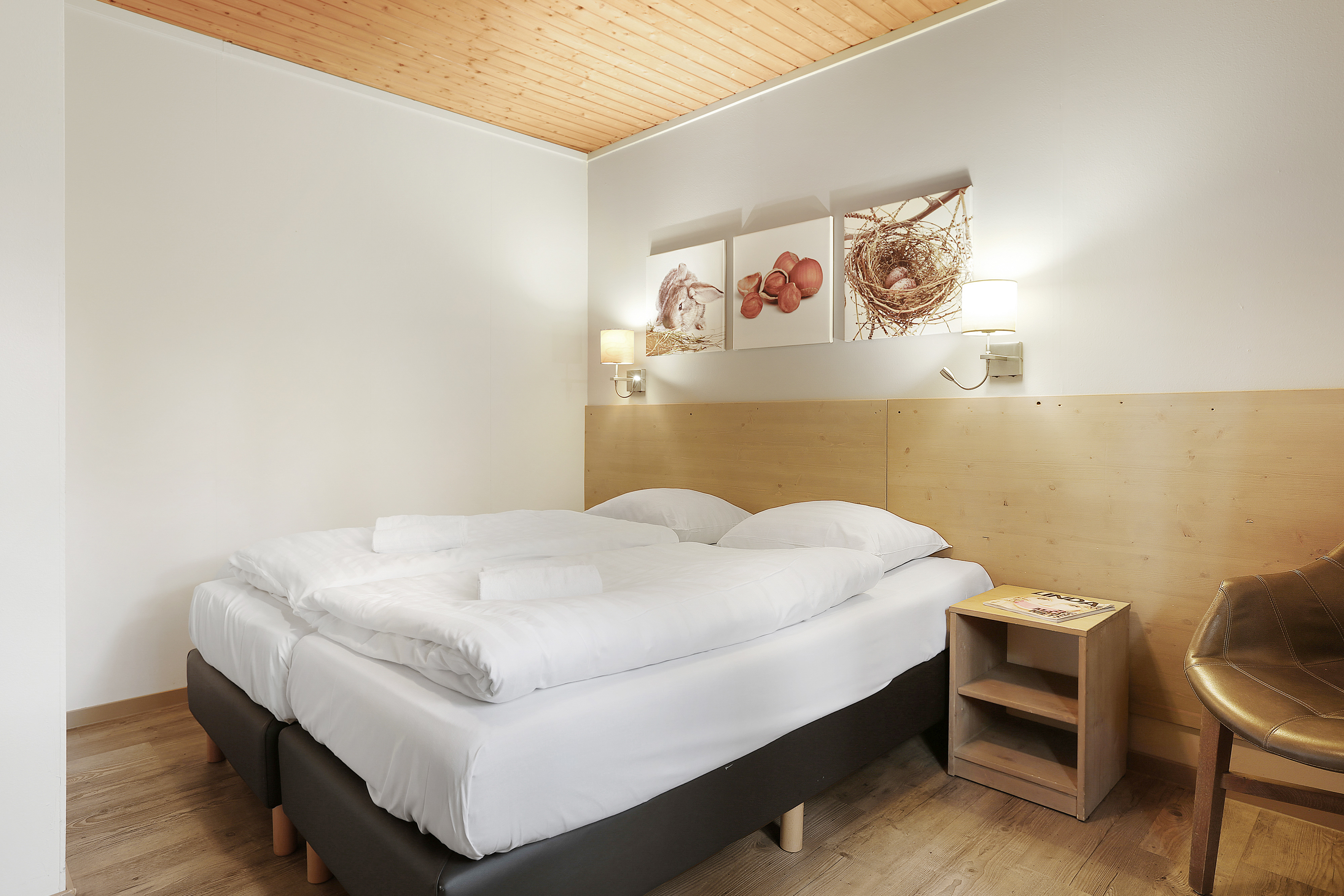 2-persoons bungalow - Extra toegankelijk — foto 10