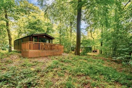 Hof van Saksen Drenthe - Westdorp visuel 265/1861