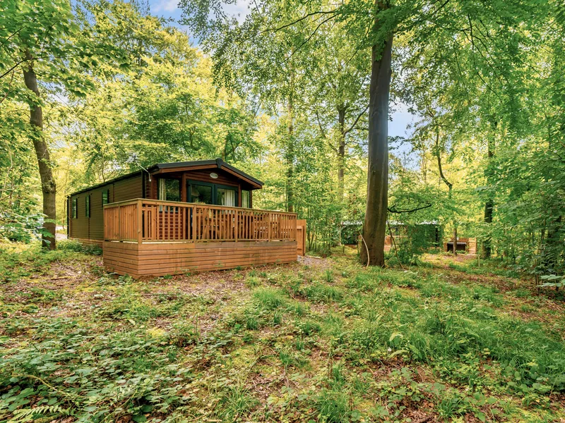 Landal Kenwick Woods — photo du lieu