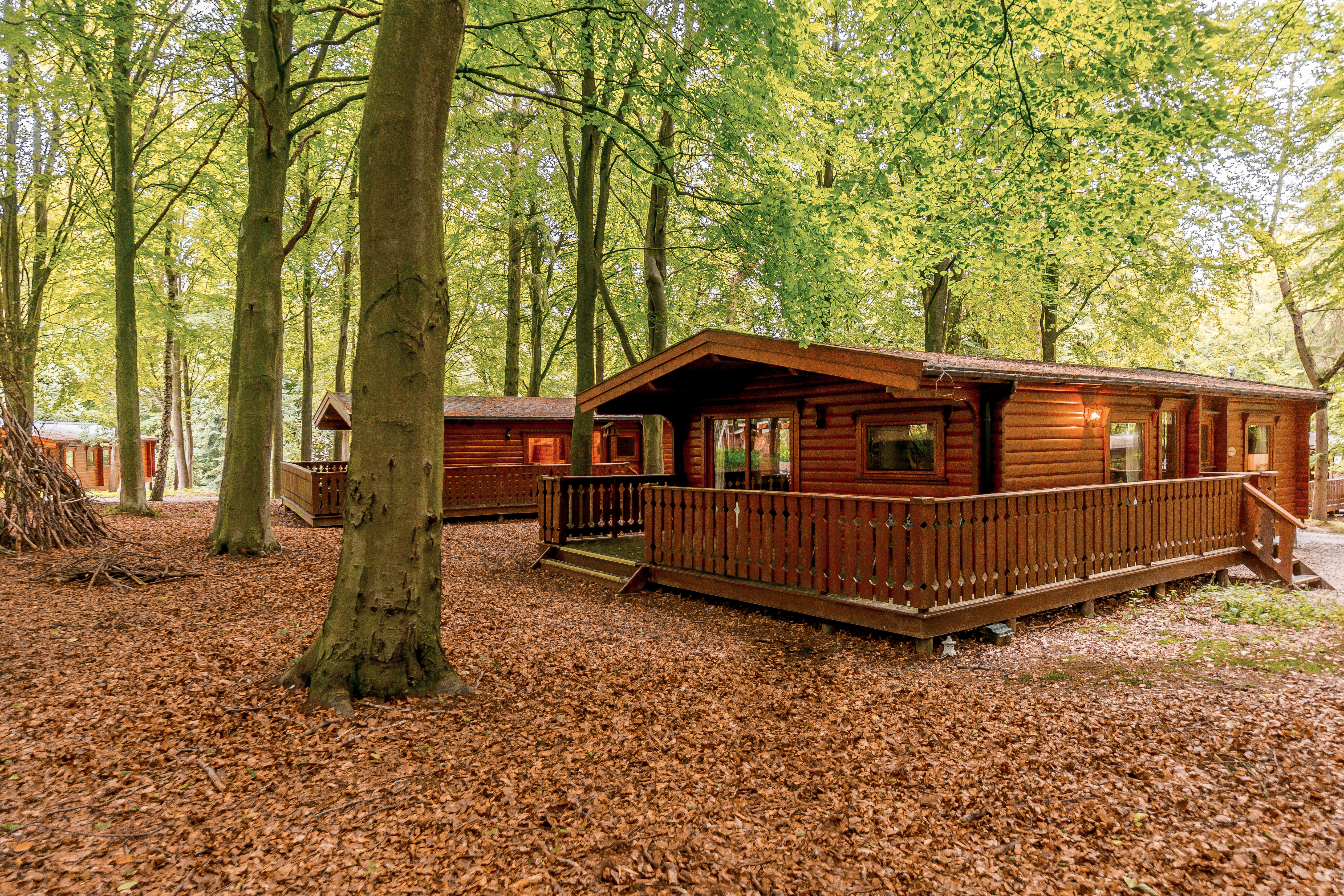 4 persoons chalet Maple Lodge