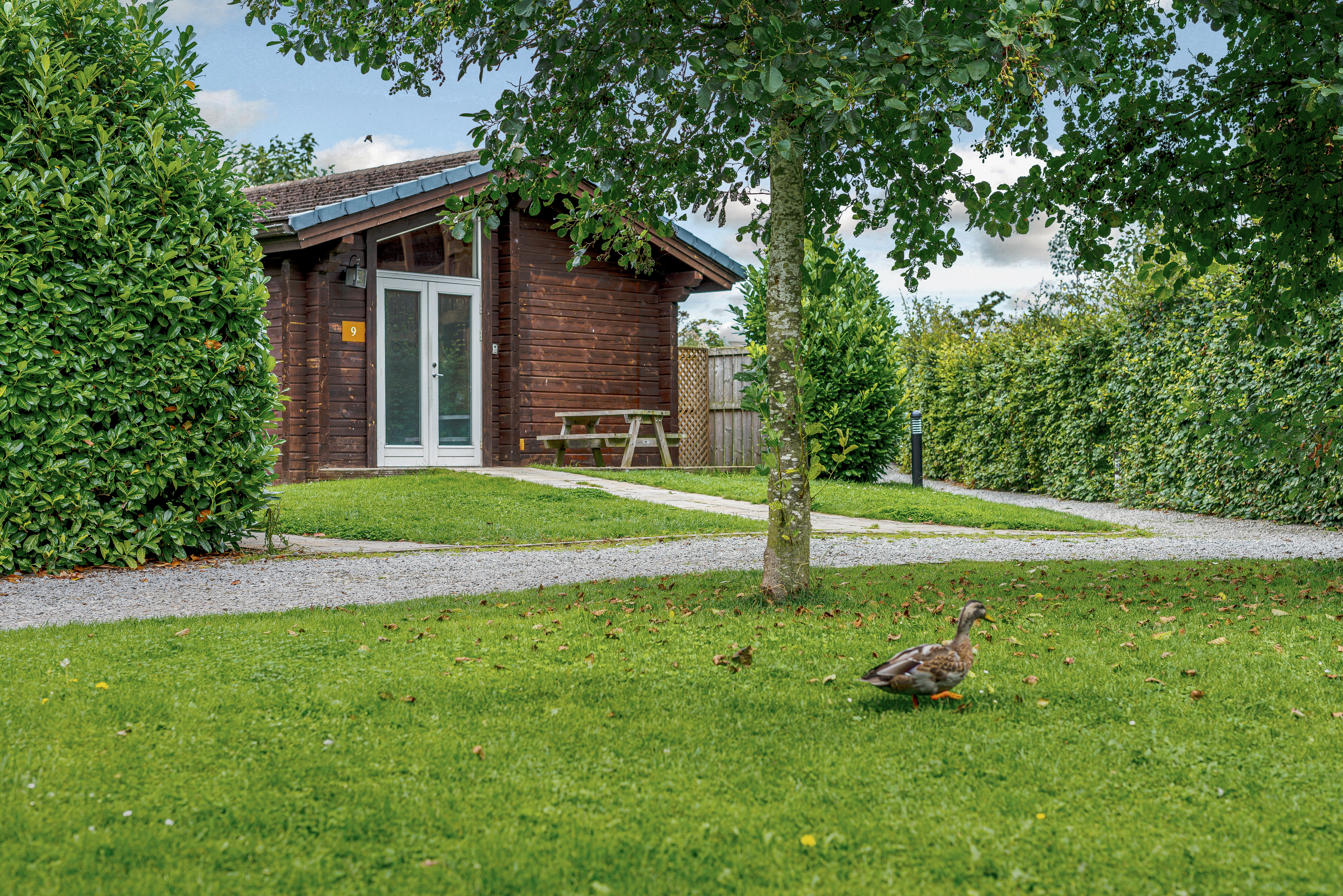 3 persoons chalet Yew Tree Spa (Pet)