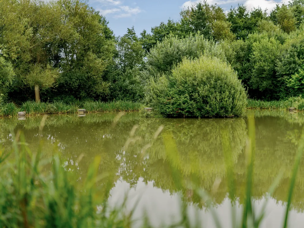 WLS Facilities Lake