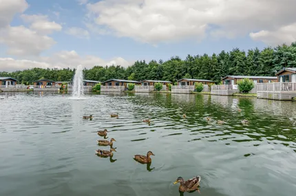 Hof van Saksen Drenthe - Westdorp visuel 63/1861