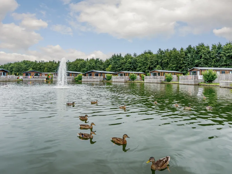 Landal Woodland Lakes — photo du lieu