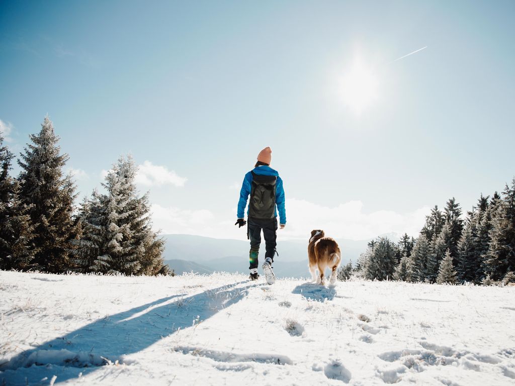 Woman with dog enjoys view on snowy mountain in winter