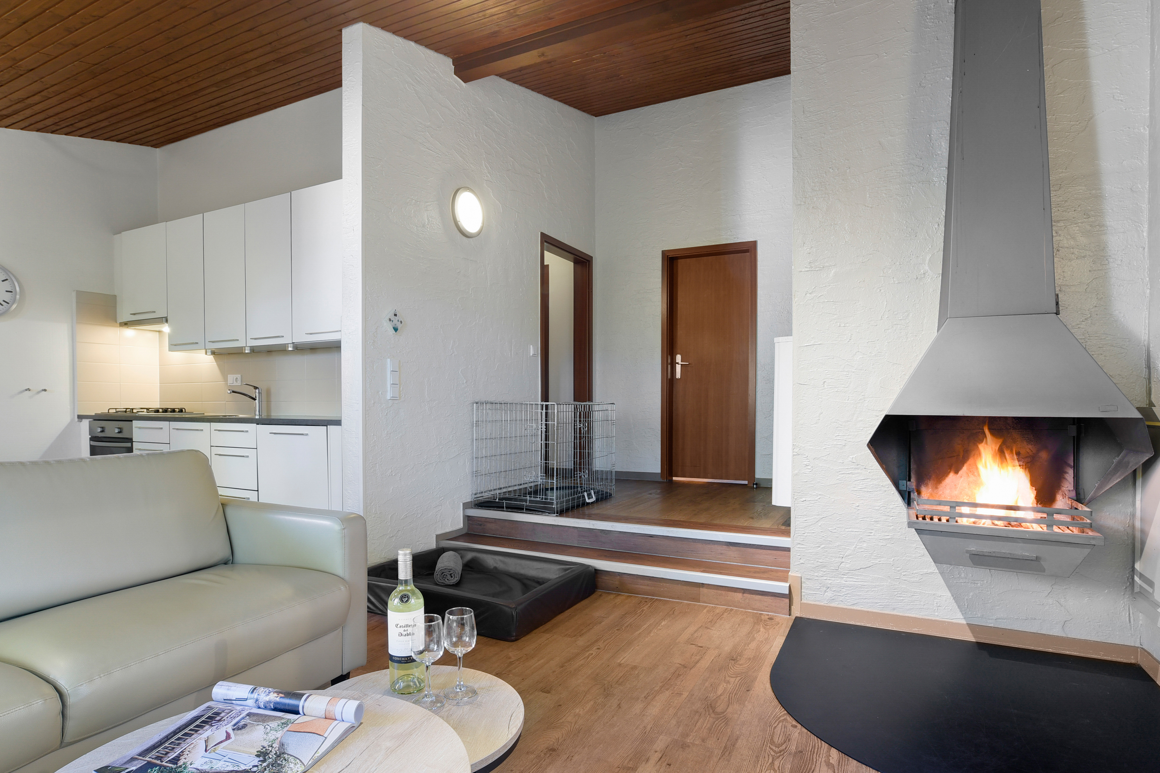 4-persoons hondenbungalow — foto 10