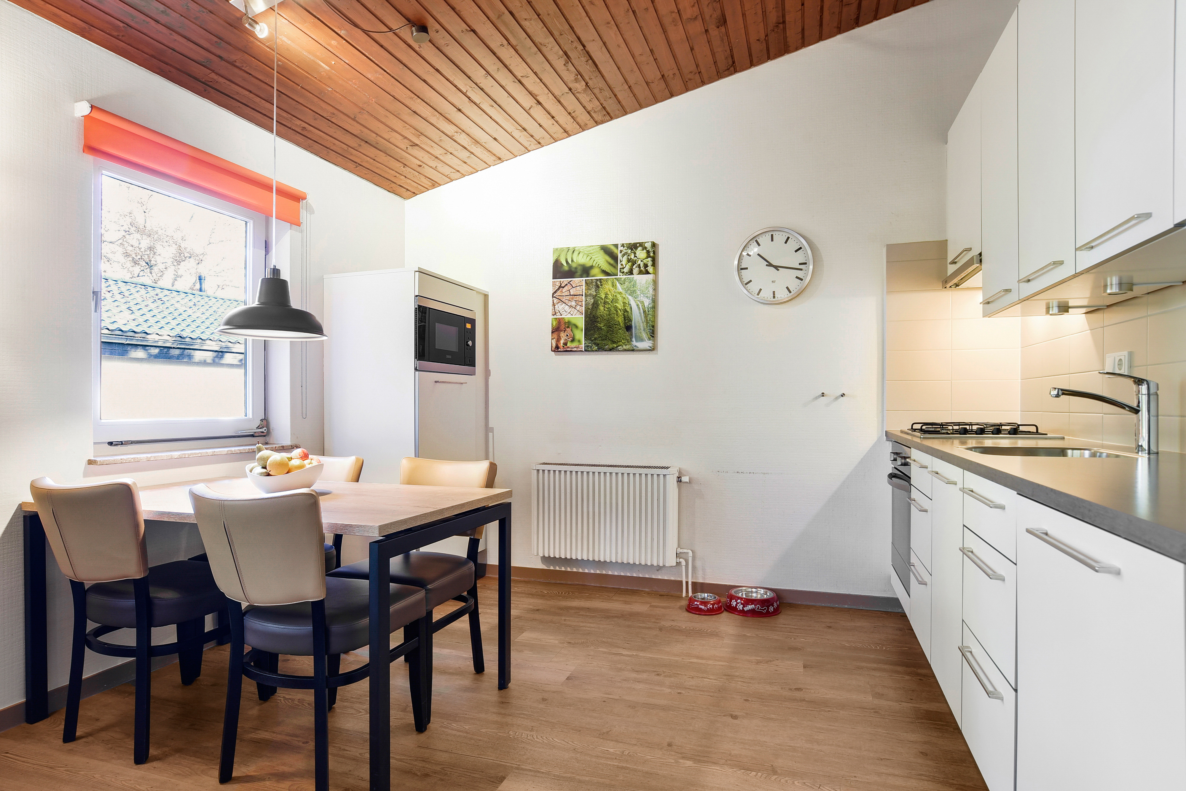 4-persoons hondenbungalow — foto 11