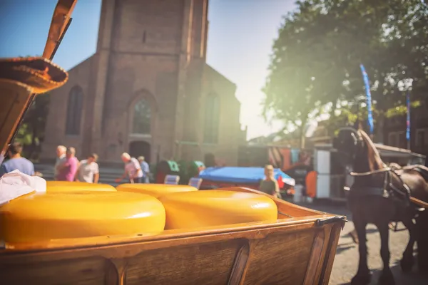 Hof van Saksen Drenthe - Westdorp visuel 1261/1861