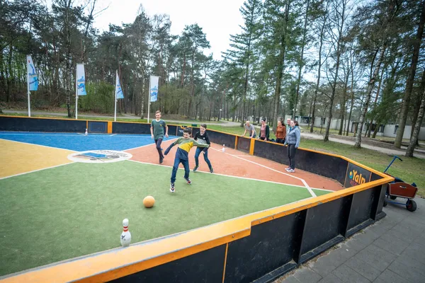 Hof van Saksen Drenthe - Westdorp visuel 1557/1861